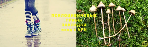 мет Бронницы
